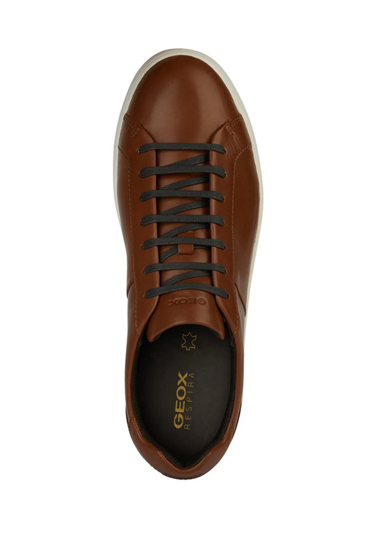 Geox Erkek Kahverengi Regio Bağcıklı Deri Sneaker - Image 5