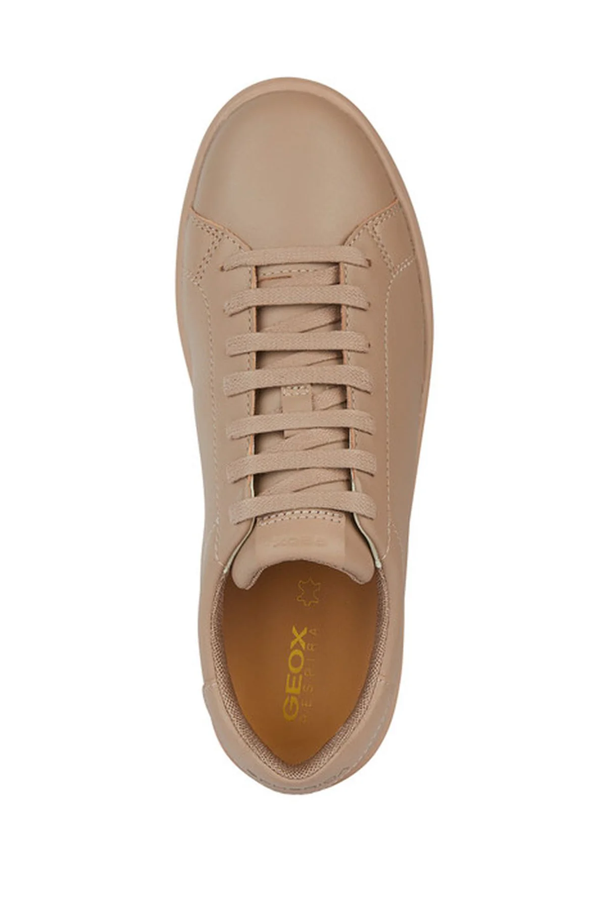 Geox Kadın Bej Spherica Ecub-1 Bağcıklı Deri Sneaker - Image 5