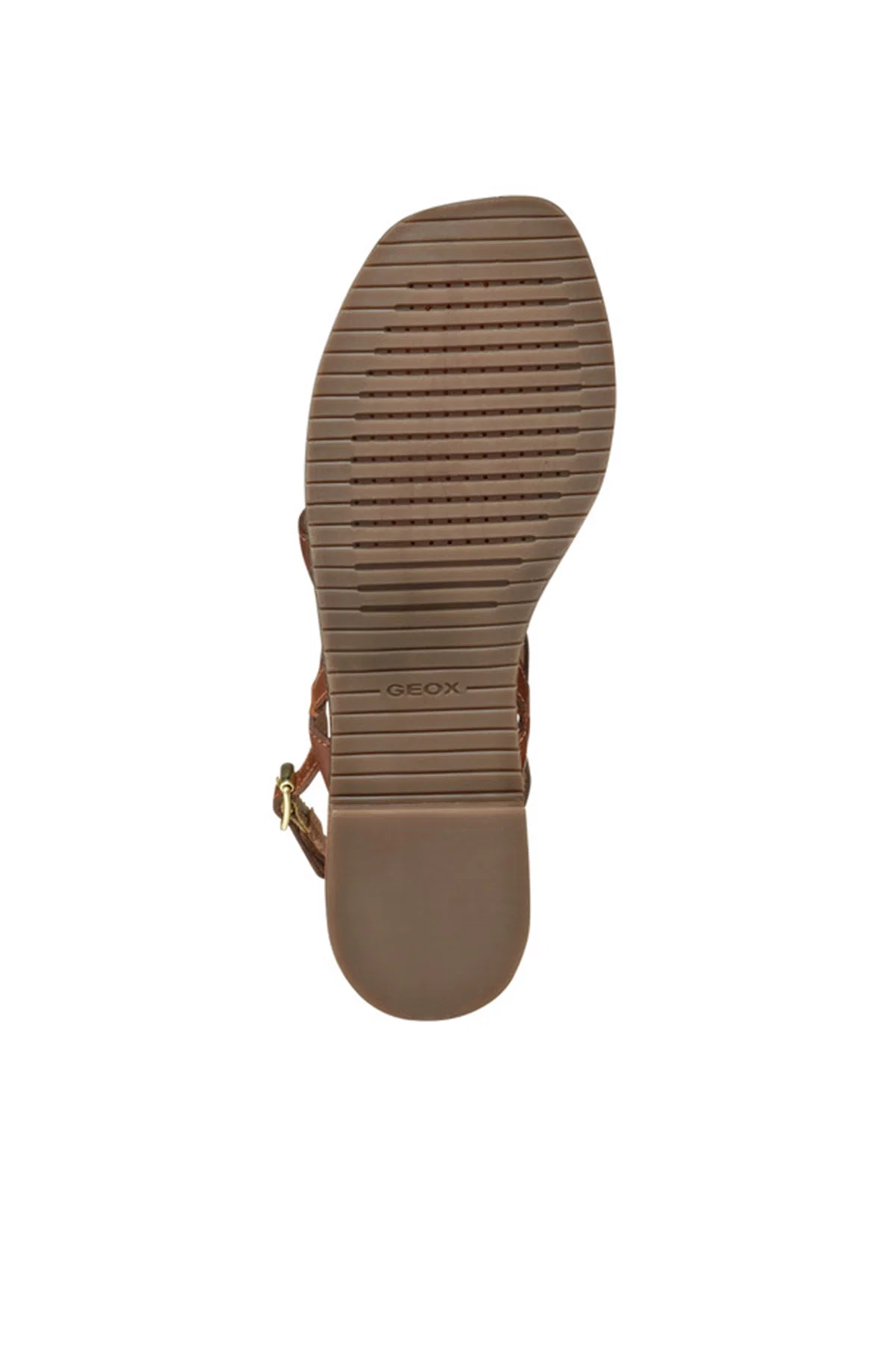 Geox Kadın Camel Sozy Parmak Arası Deri Sandalet - Image 6