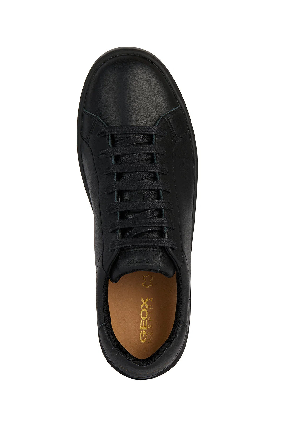 Geox Kadın Siyah Spherica Ecub-1 Bağcıklı Deri Sneaker - Image 5
